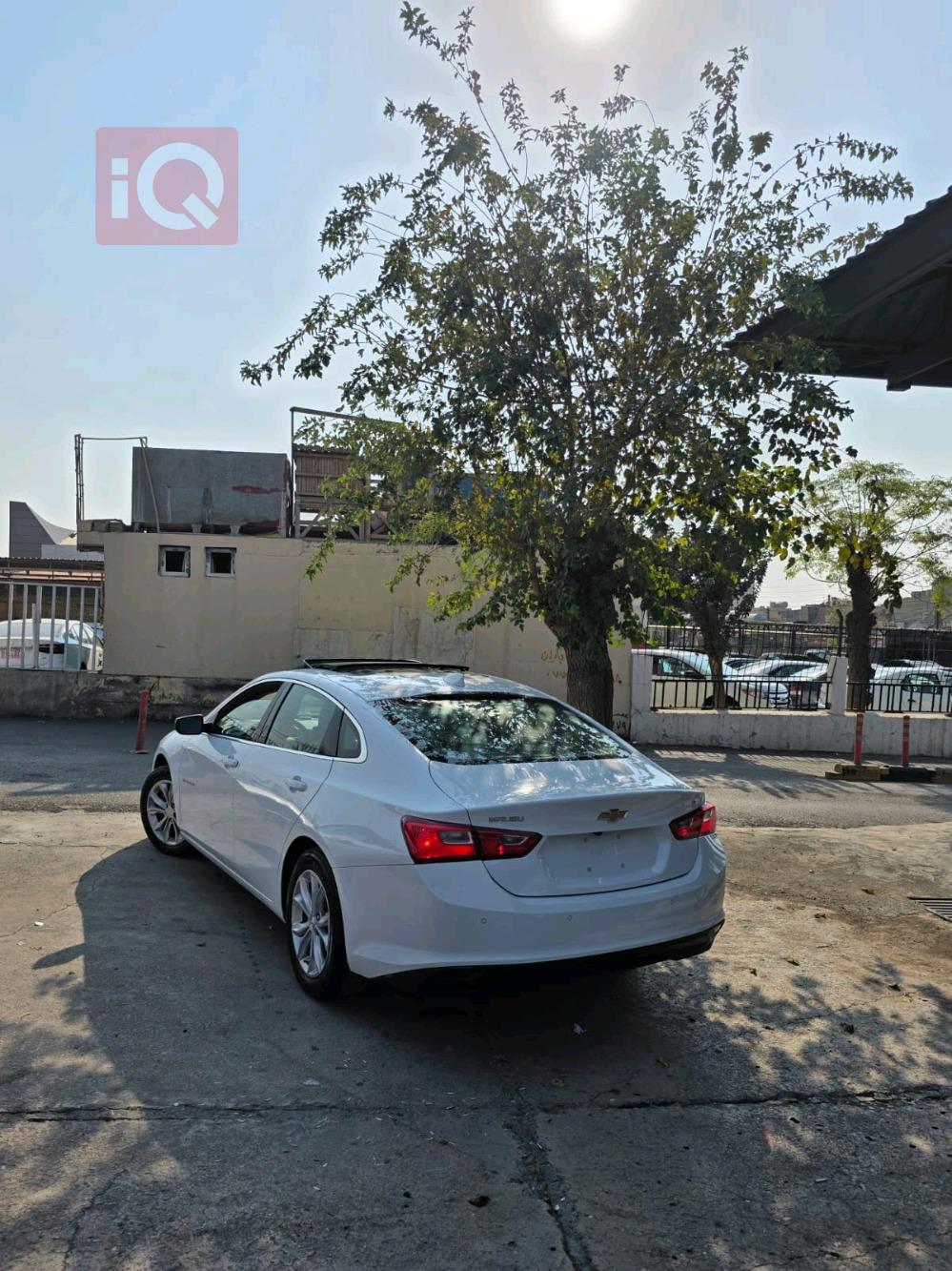 شيفروليه ماليبو